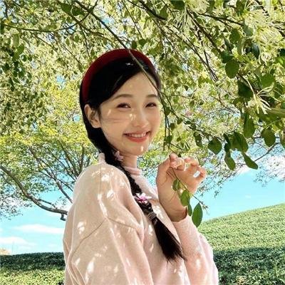 森林